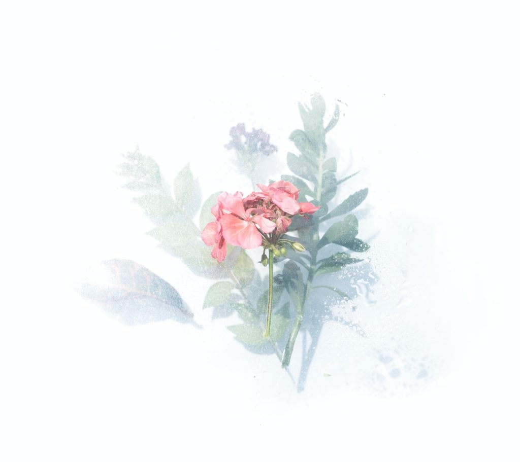watercolor