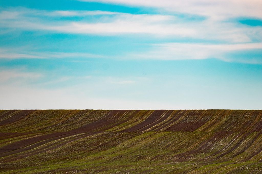 explore comprehensive land management strategies to optimize the use, development, and conservation of land resources effectively.