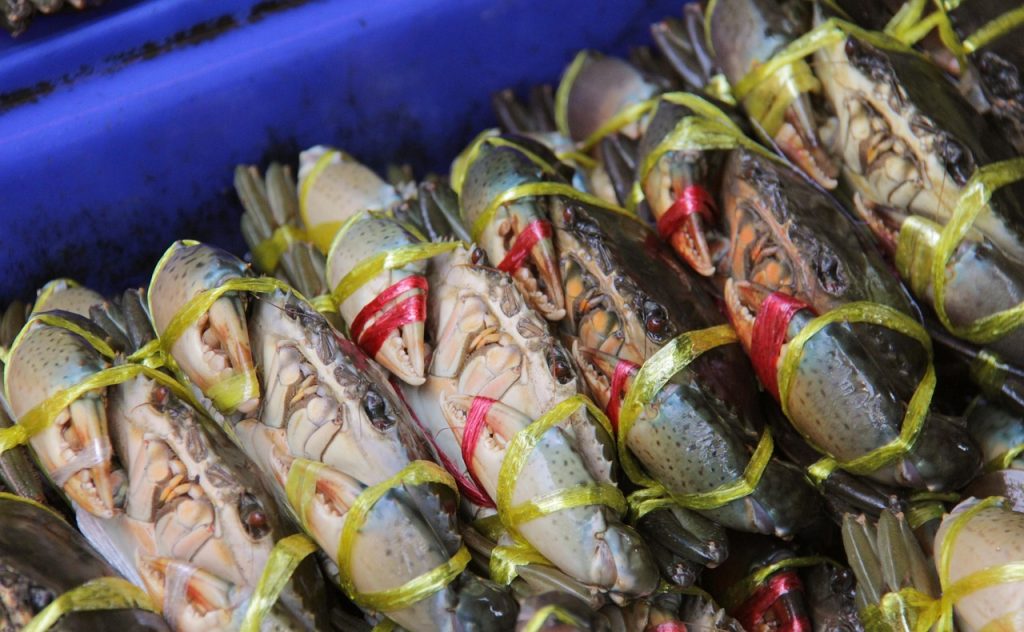 discover the freshest seafood, sourced daily to bring you the best quality and flavor from the ocean to your table.
