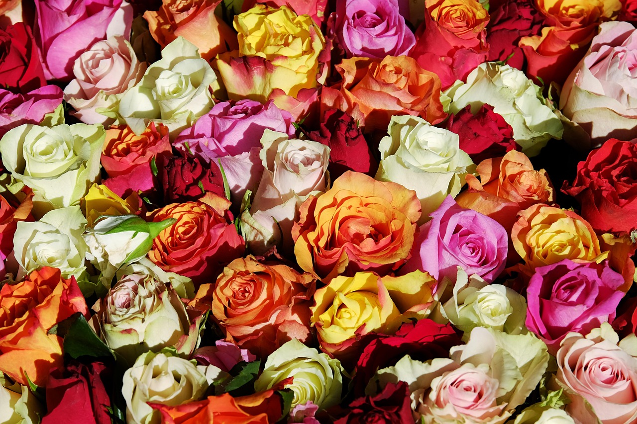 explore the art of floral design with creative arrangements, expert techniques, and inspiring ideas to beautify any space.